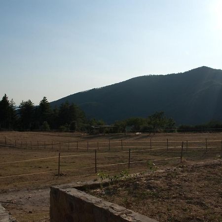 Agriturismo Le Vigne Villa Montale  Exteriör bild