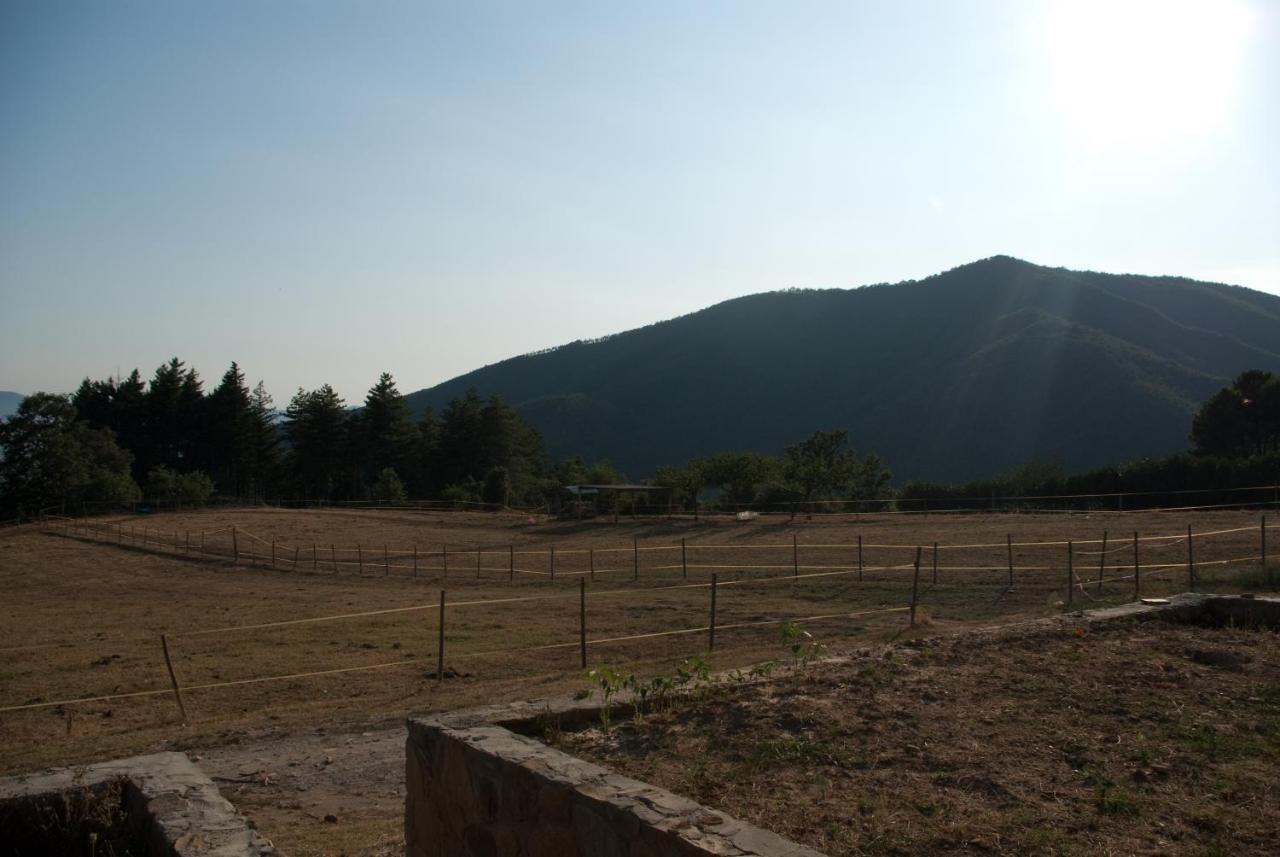 Agriturismo Le Vigne Villa Montale  Exteriör bild